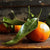 New Beginnings at the Autumn Equinox + Rosh Hashanah