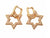 Elegant 6-pointed star of David 18K gold plated cubic zirconia micro pave earrings.