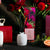 Botanica Wild Rose, Sweet Orange & Amber Fragrance Diffuser Set | 200ml