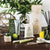 Flourish Organics Lemongrass, Lemon Myrtle, Grapefruit & Eucalyptus Organic Hand Cream