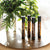 Natural Remedy Cardamom, Cedarwood & Vertiver Natural Botanical Perfume